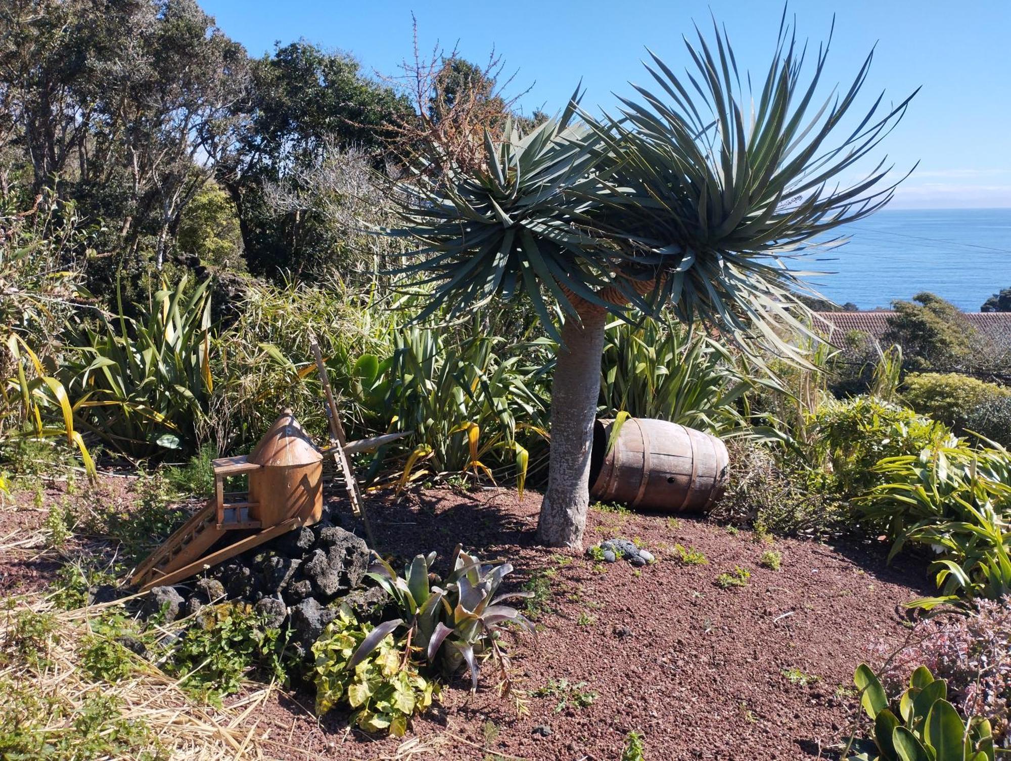 Calheta de NesquimLobo Do Mar别墅 外观 照片